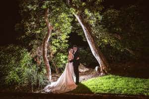a-bride-groom-backlit-trees-maryborough
