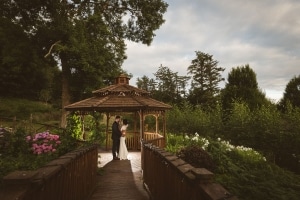summer-evening-backlit-fernhill-wedding